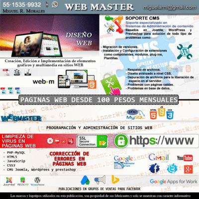 imagen de WEBMaster profesional (Virus en paginas)_1