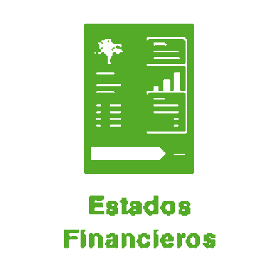 imagen de Estados Financieros _1