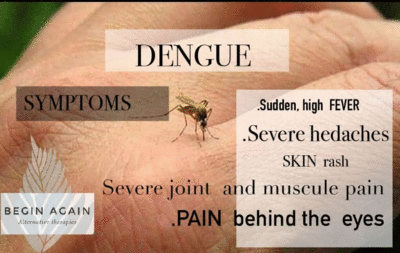 imagen de Tratamiento para el Dengue _1